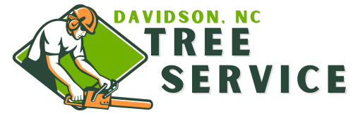 Tree Service Davidson NC